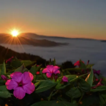 Casa Marsic شقة Oprtalj