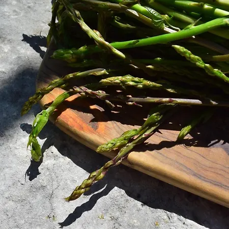 Casa Marsic * Oprtalj