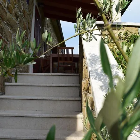 Casa Marsic Apartman