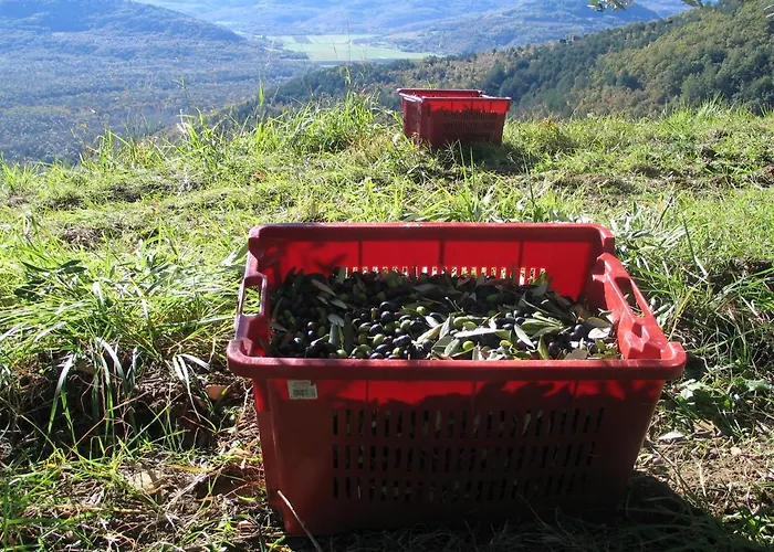 Apartman Casa Marsic