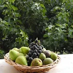 Casa Marsic Oprtalj