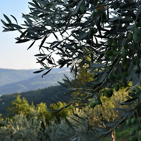 Casa Marsic Appartement Oprtalj